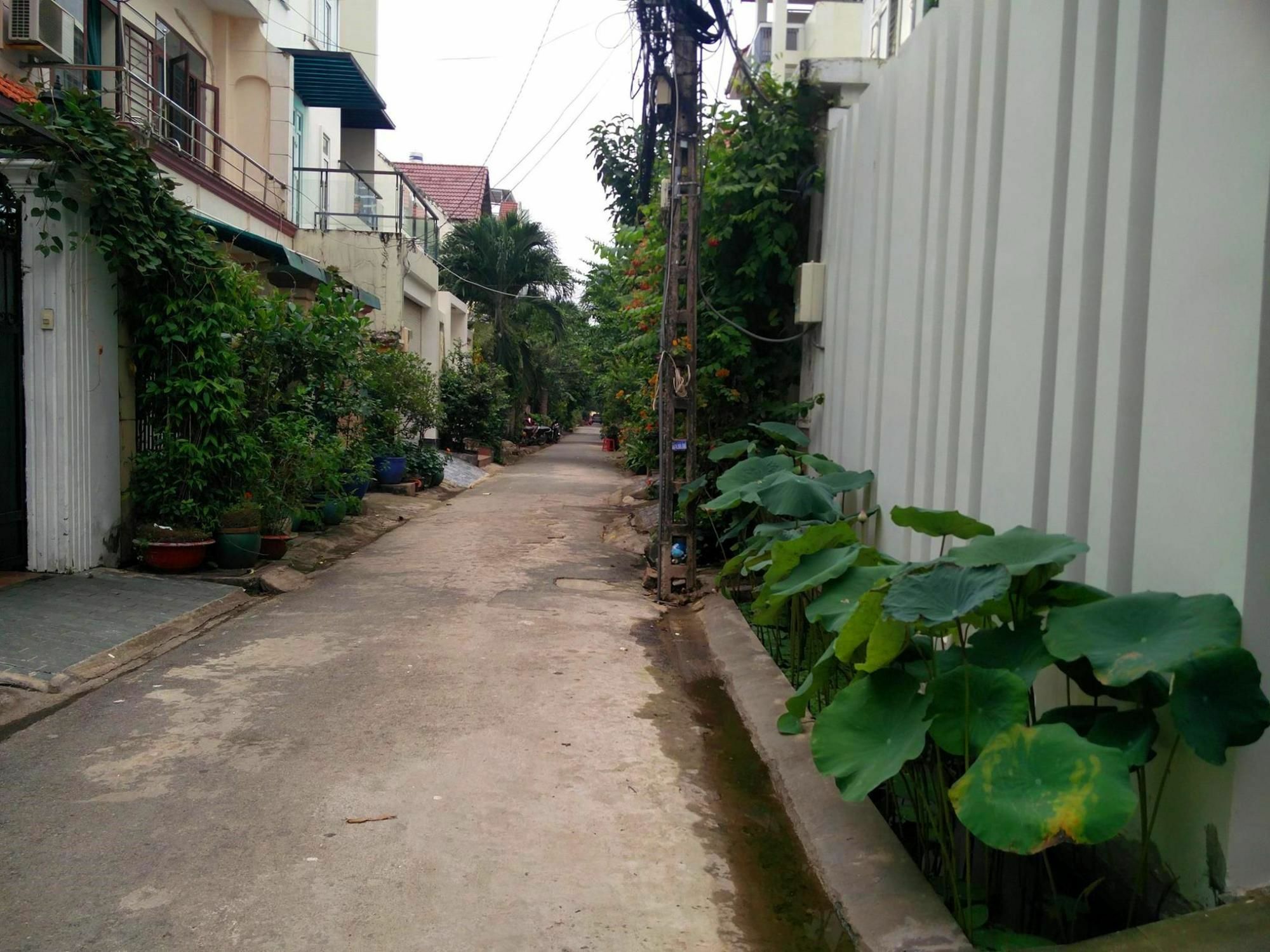 Sen Boutique House By 5H Apartment Ho Chi Minh City Bagian luar foto