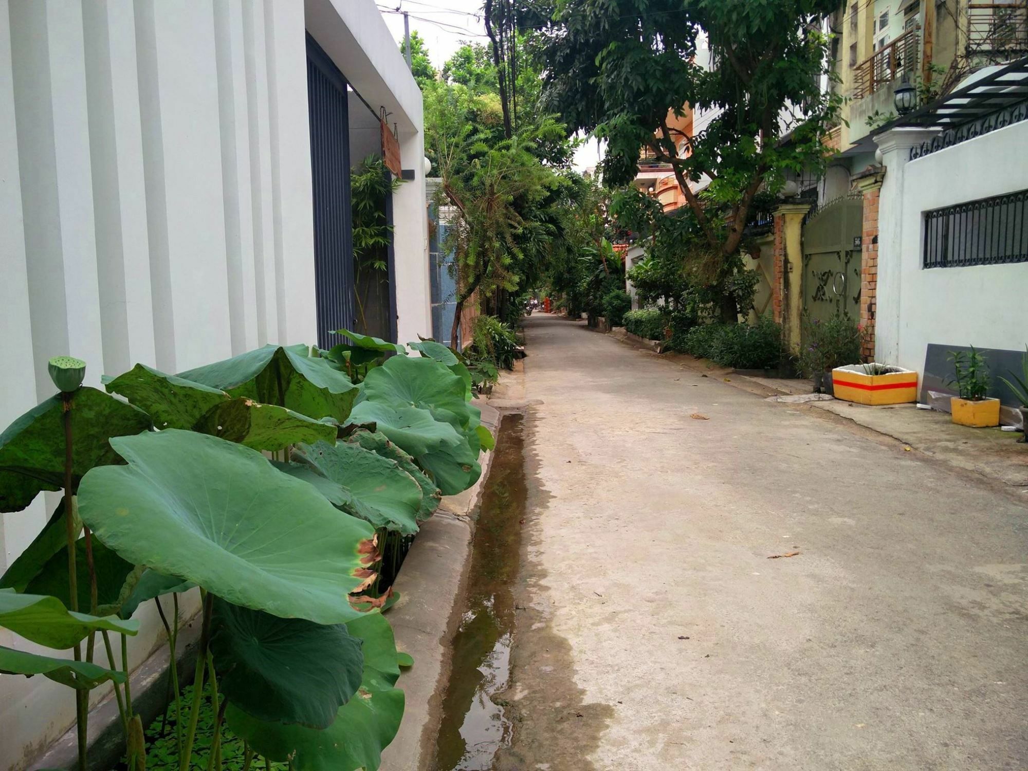 Sen Boutique House By 5H Apartment Ho Chi Minh City Bagian luar foto